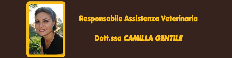 dott.ssa camilla gentile