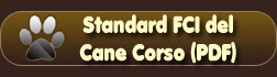 standard FCI cane corso