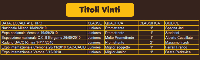 titoli vinti